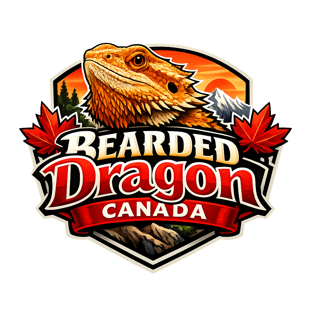 Bearded Dragons For Sale Canada