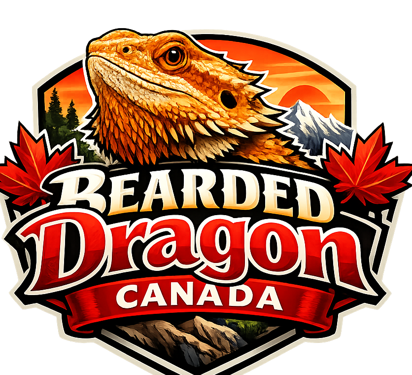 Bearded Dragons For Sale Canada