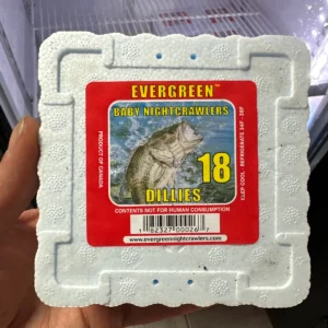 Evergreen Dillies (Young Earth Worms)