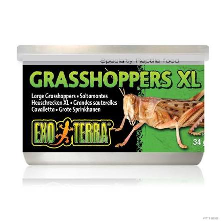 Exo Terra Canned Grasshoppers