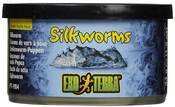 Exo Terra Silkworms (Pupae) For Sale