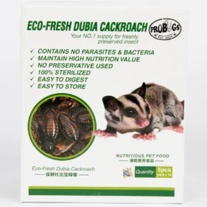 Pro Bugs Eco-Fresh Dubia Cockroaches For Sale